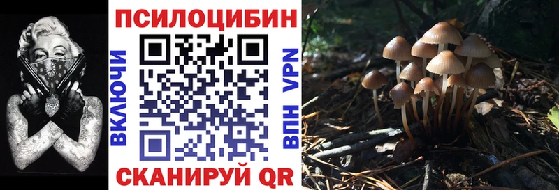 Галлюциногенные грибы MAGIC MUSHROOMS  Мирный 